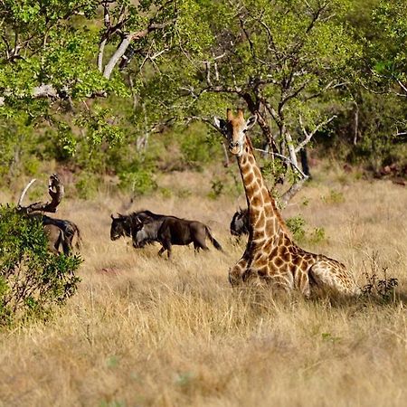 Waterberg Game Lodge Бела-Бела Екстер'єр фото